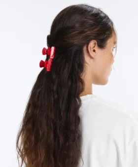 2 Mini-Haarschmuck-Spangen
